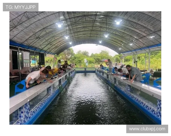 娱乐场：多样化娱乐体验满足不同年龄层的需求