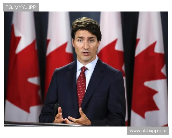 新普京在线注册公司成功的关键技巧与注意事项