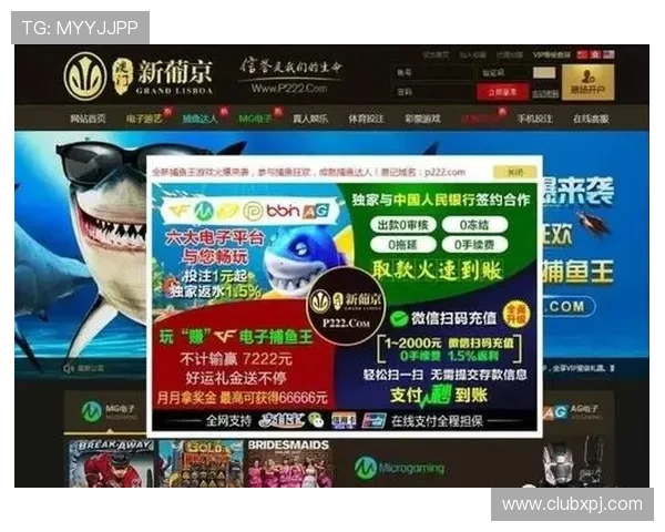 新葡京游戏网址官方入口全面解析2024年最新版本及优惠活动介绍