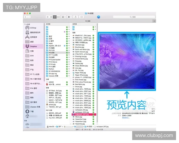 新葡萄娱乐城官方下载指南,详细步骤帮助新手快速上手畅玩无限精彩 新葡萄娱乐城官方下载指南,详细步骤帮助新手快速上手畅玩无限精彩