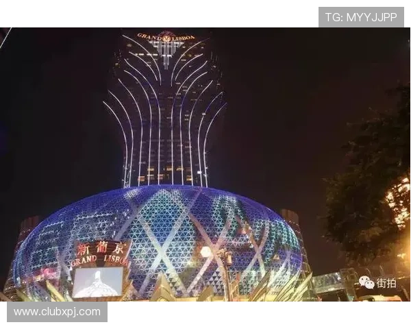 澳门新葡京官网地址登录指南，解决玩家常见登录难题与安全疑虑