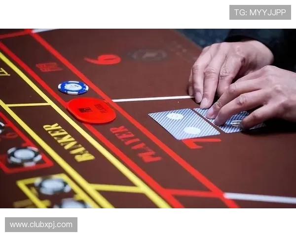 澳门新葡京百家乐经典玩法介绍,带你领略传统与创新的完美结合